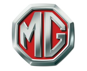 MG Motors India Hector service center